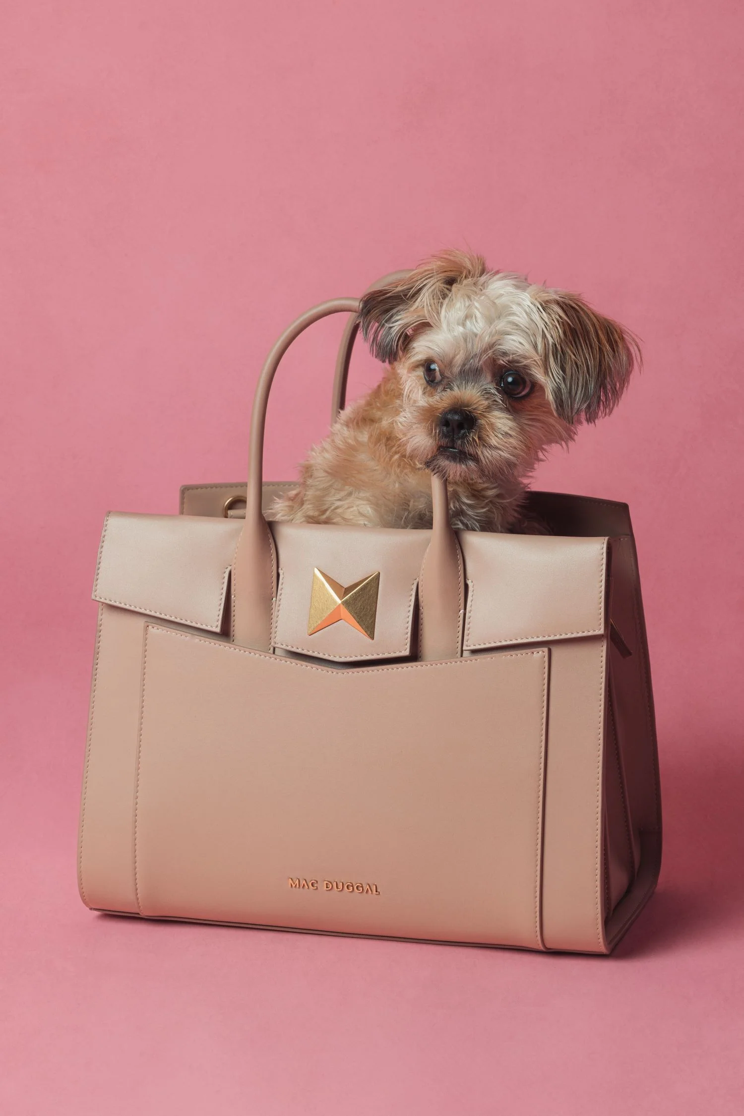 Large Leather Briefcase Bag With Gold Hardware