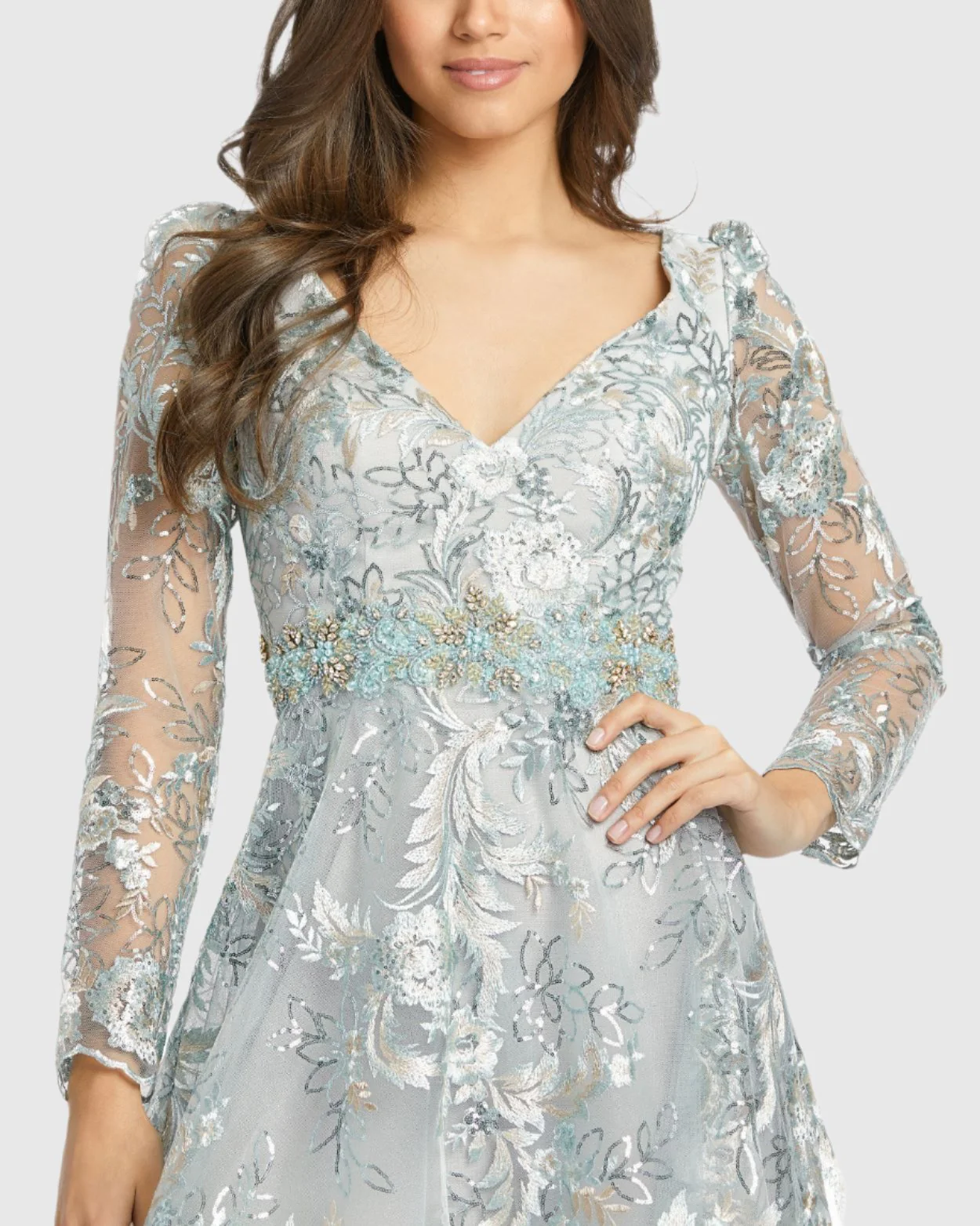 Embellished Illusion Long Sleeve A Line Dress
