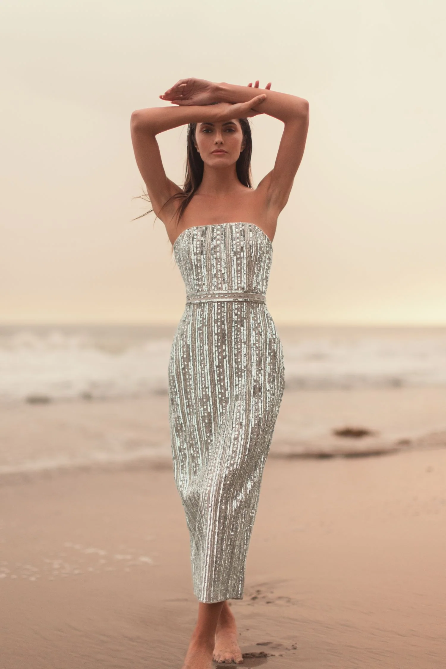 Silver and Beige Embellished Strapless Column Dress