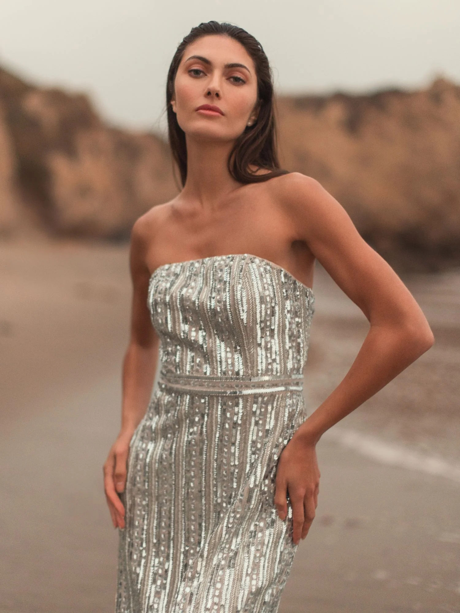 Silver and Beige Embellished Strapless Column Dress