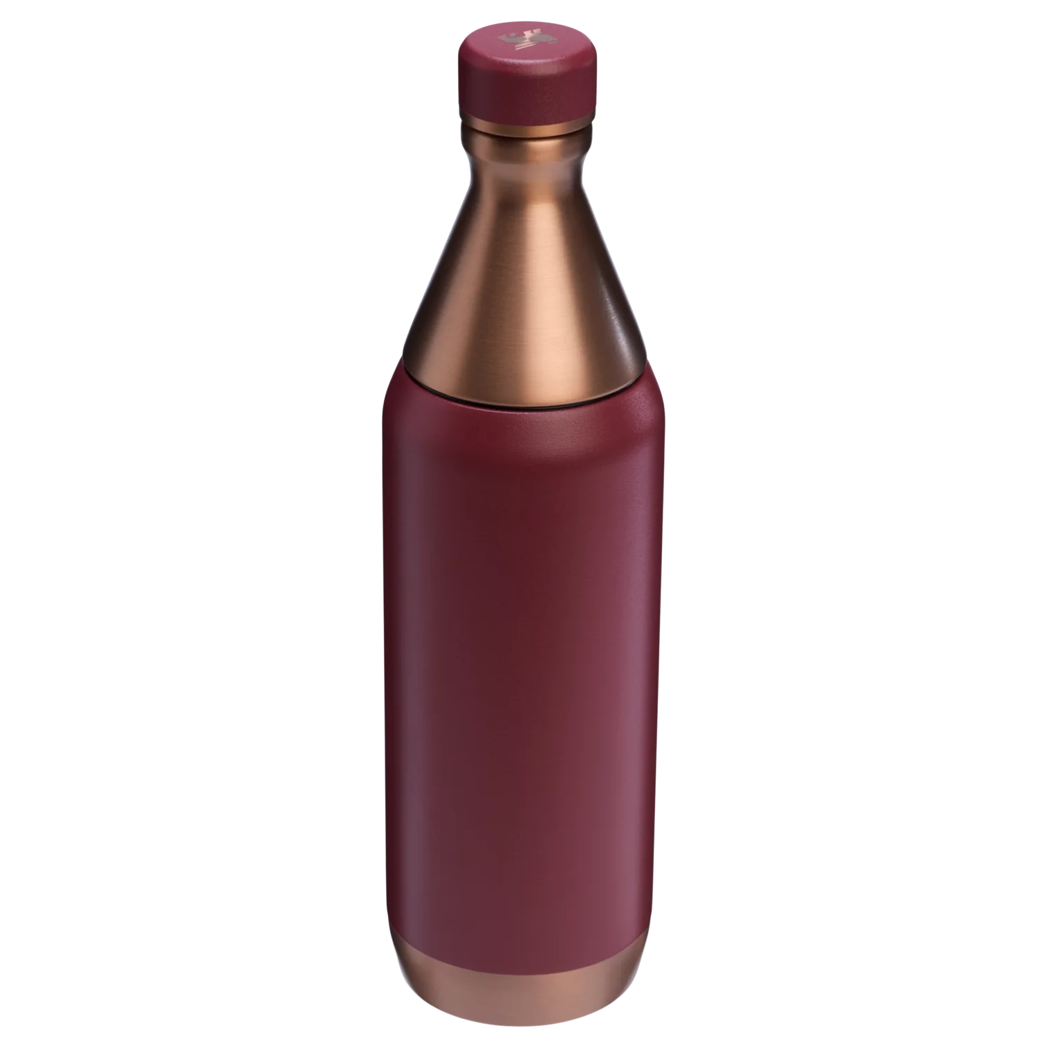The Holiday All Day Slim Bottle | 20 OZ
