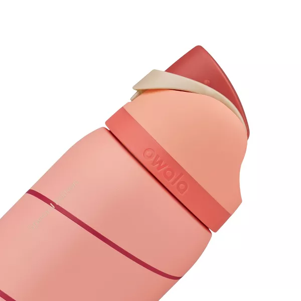 Owala Special Edition 32oz Stainless Steel FreeSip Classy Christmas Water Bottle