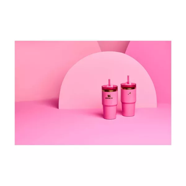 Stanley 20 oz Stainless Steel H2.0 FlowState Quencher Tumbler - Wicked