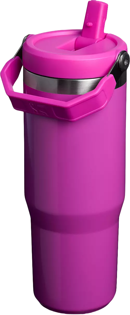 Stanley 30 Oz. IceFlow Flip Straw Tumbler - Winter Wonderland Collection