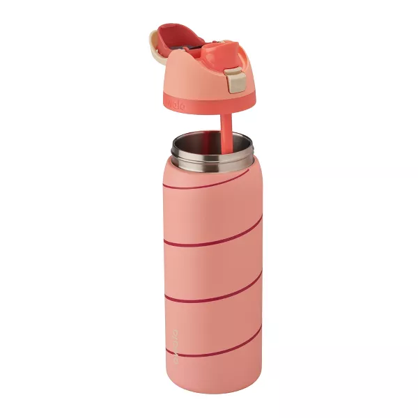 Owala Special Edition 32oz Stainless Steel FreeSip Classy Christmas Water Bottle