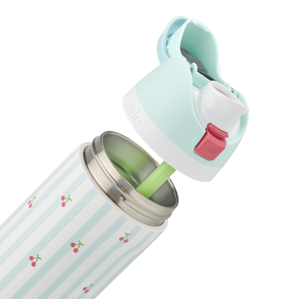 Owala Birthday Bash 24oz FreeSip®