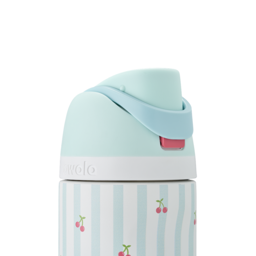 Owala Birthday Bash – Pillow Fight