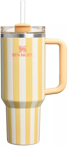 Stanley 40 oz. Quencher H2.0 FlowState Tumbler - Oasis Collection
