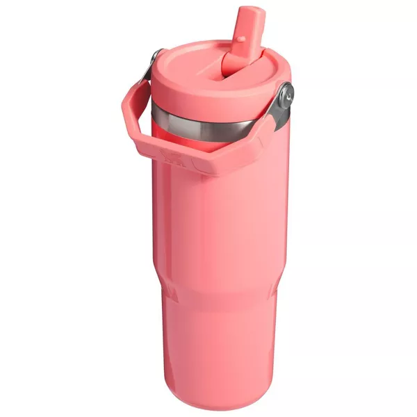 Stanley 30 oz Stainless Steel IceFlow Flip Straw Tumbler - e.l.f