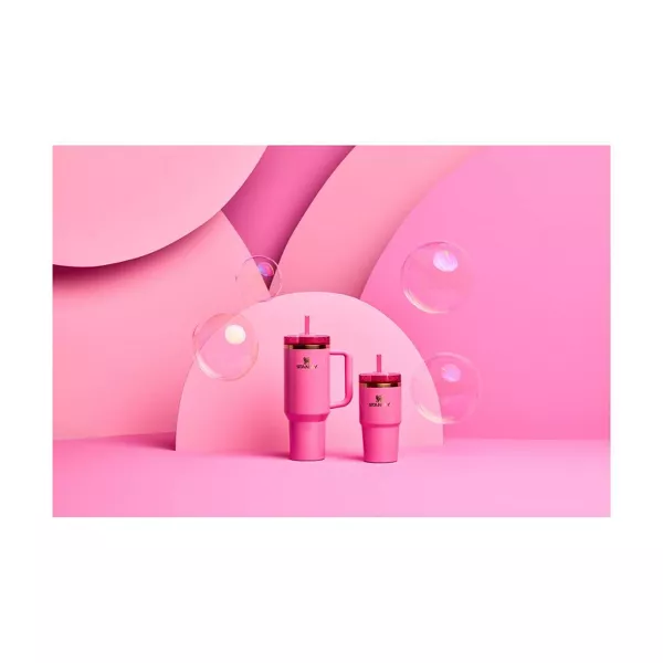 Stanley 20 oz Stainless Steel H2.0 FlowState Quencher Tumbler - Wicked