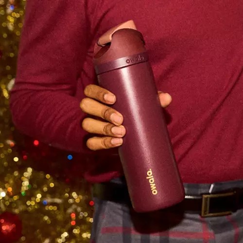 Owala 24 oz. FreeSip Stainless Steel Water Bottle - Merry and Bright Collection - Cinnamon