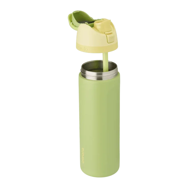 Owala FreeSip Insulated Water Bottle Disney Princess Collection 24 oz- Rapunzel