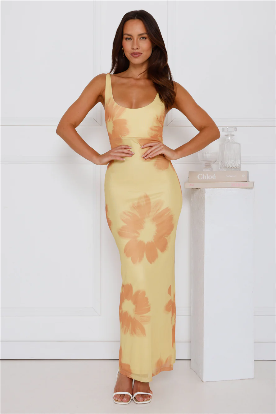 Amber Splendour Mesh Maxi Dress Yellow