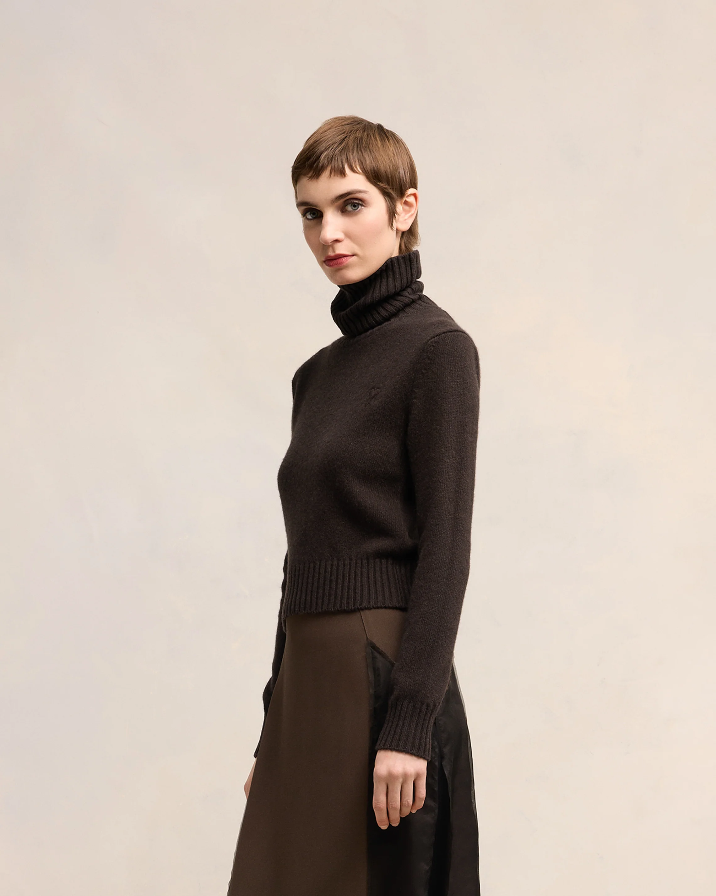 Cashmere Ami de Coeur Turtle Neck Sweater