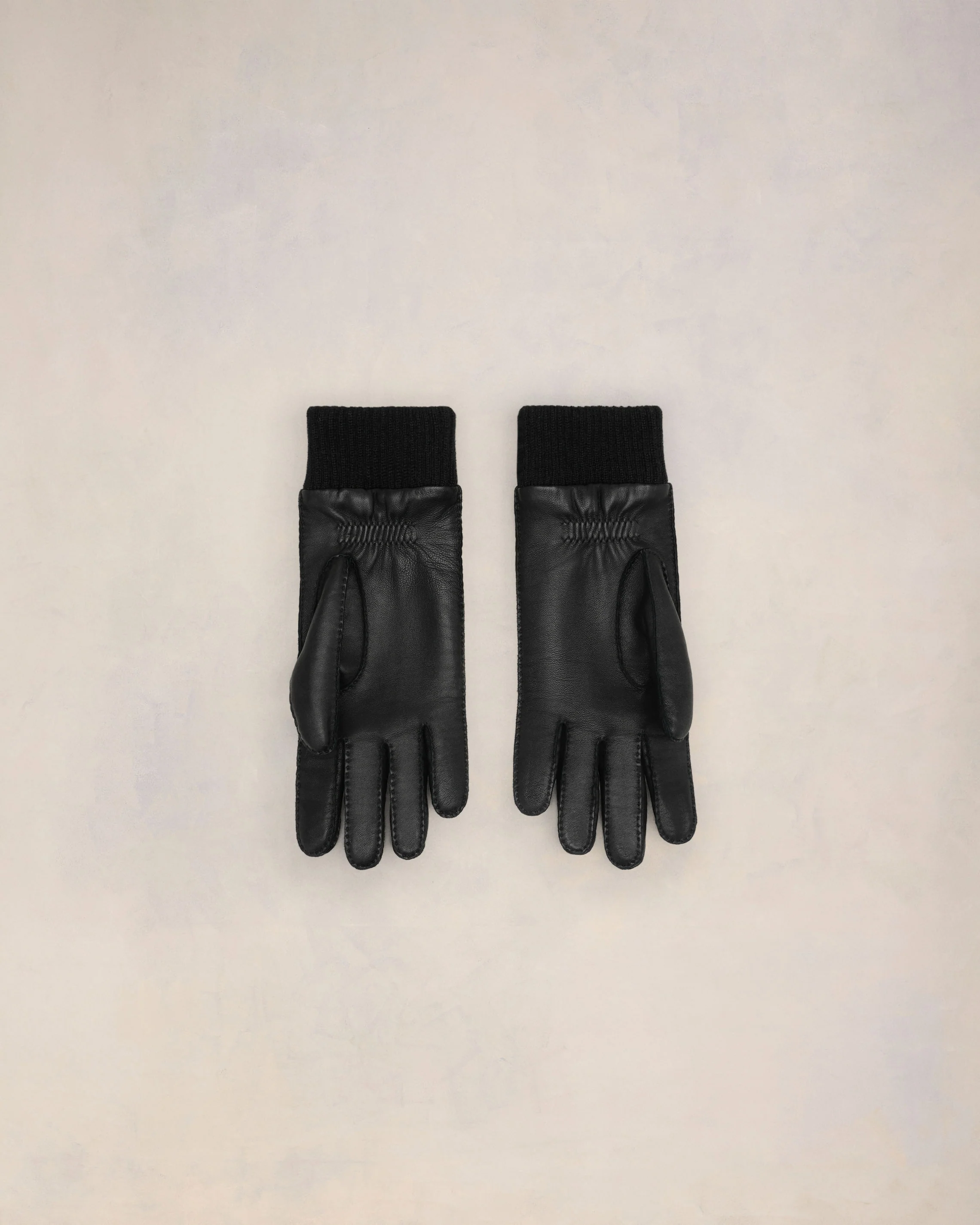 Ami de Coeur Leather Patch Gloves