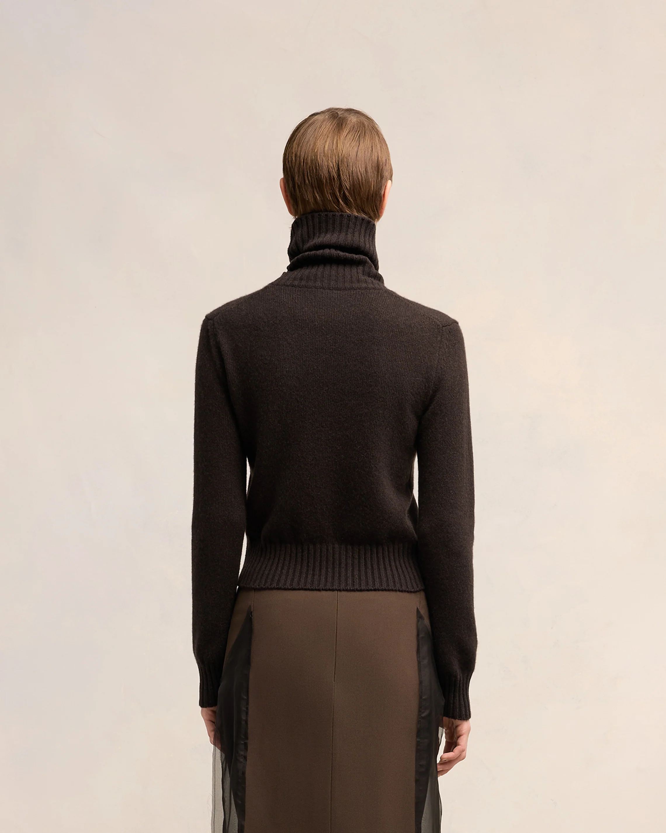 Cashmere Ami de Coeur Turtle Neck Sweater