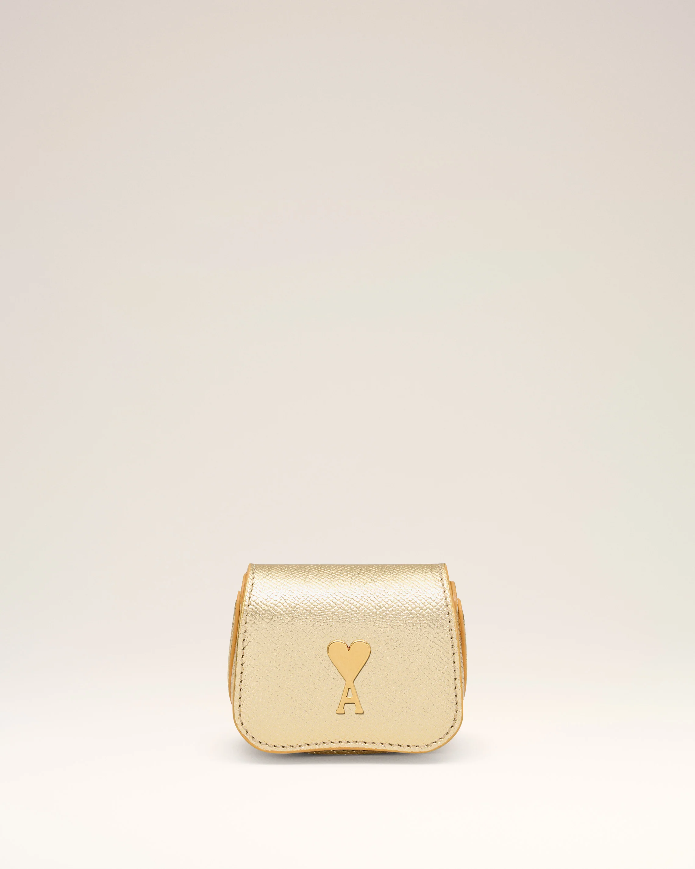 Paris Paris Aipods Case