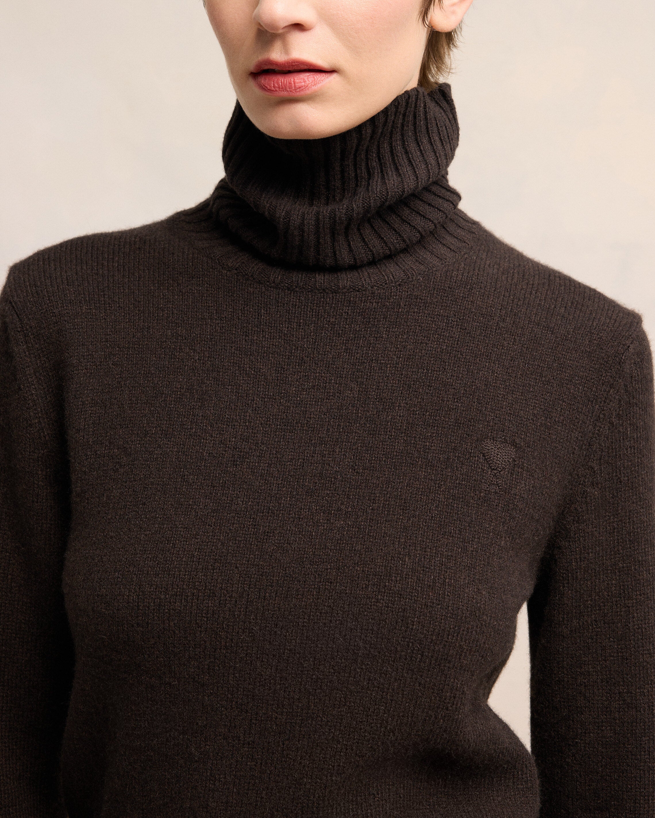 Cashmere Ami de Coeur Turtle Neck Sweater