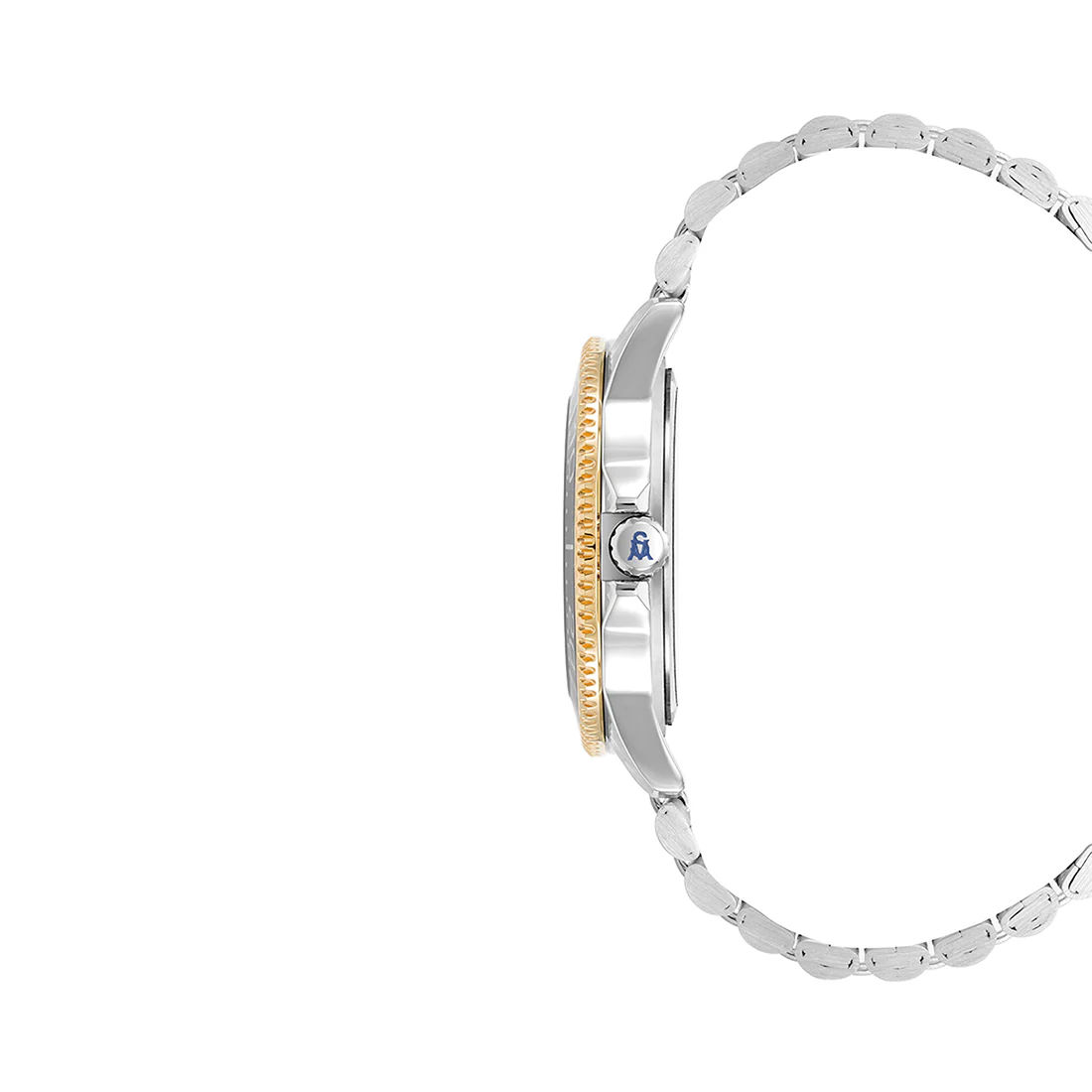 TWO TONE CLASSIC WATCH SILVER MULTI