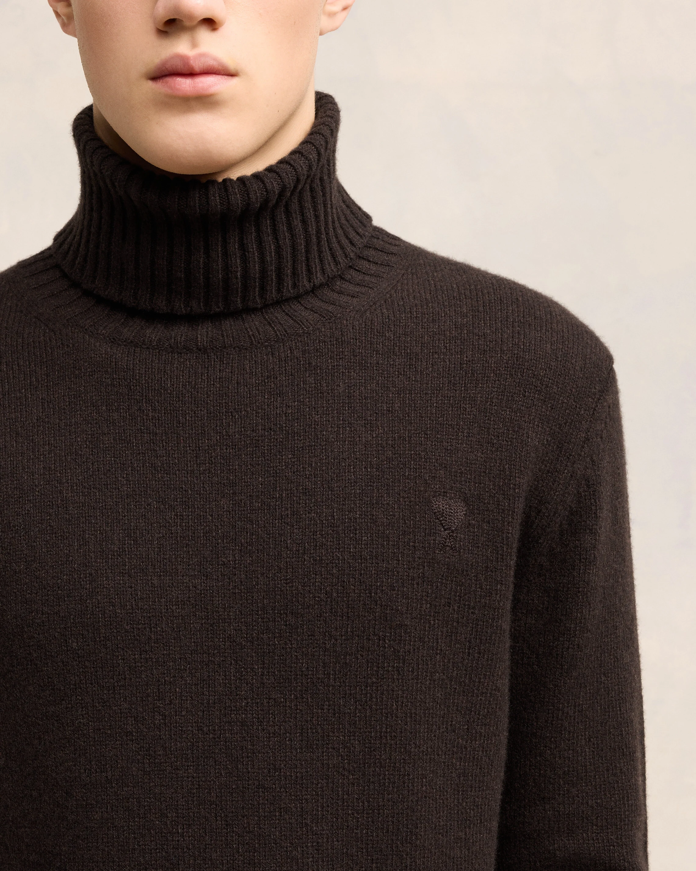 Cashmere Ami de Coeur Turtle Neck Sweater