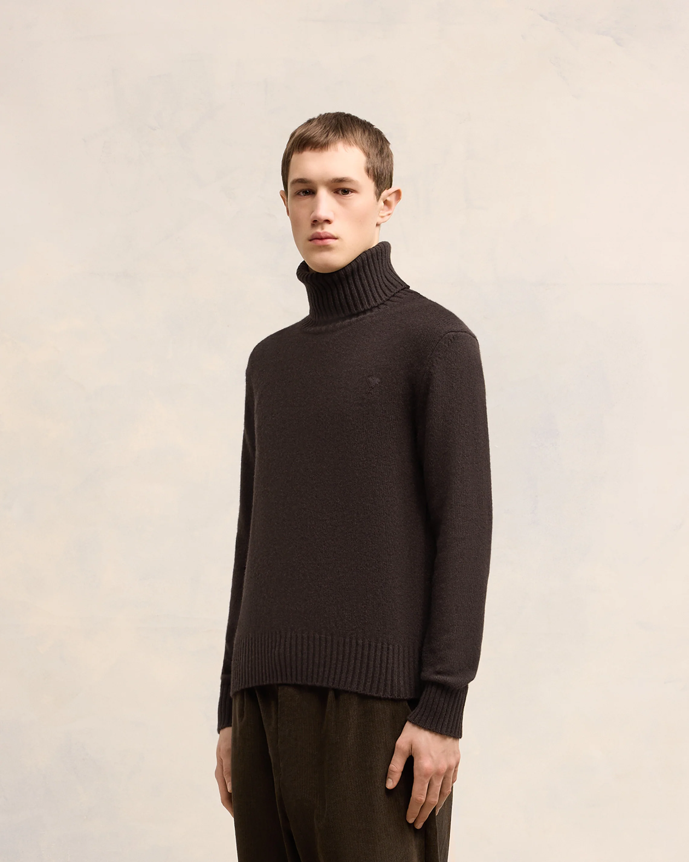 Cashmere Ami de Coeur Turtle Neck Sweater