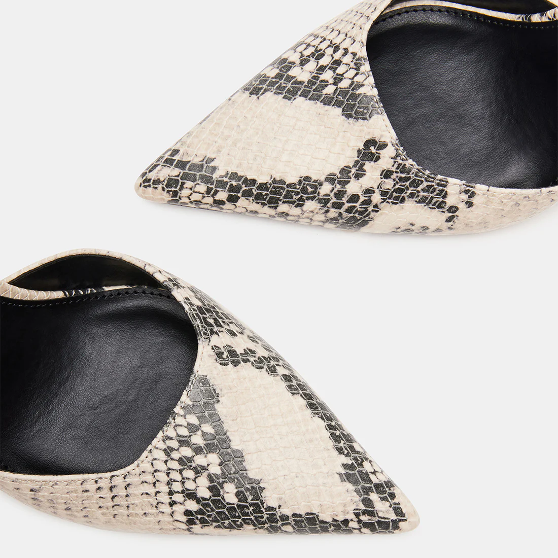 ALLIANCE NATURAL EXOTIC