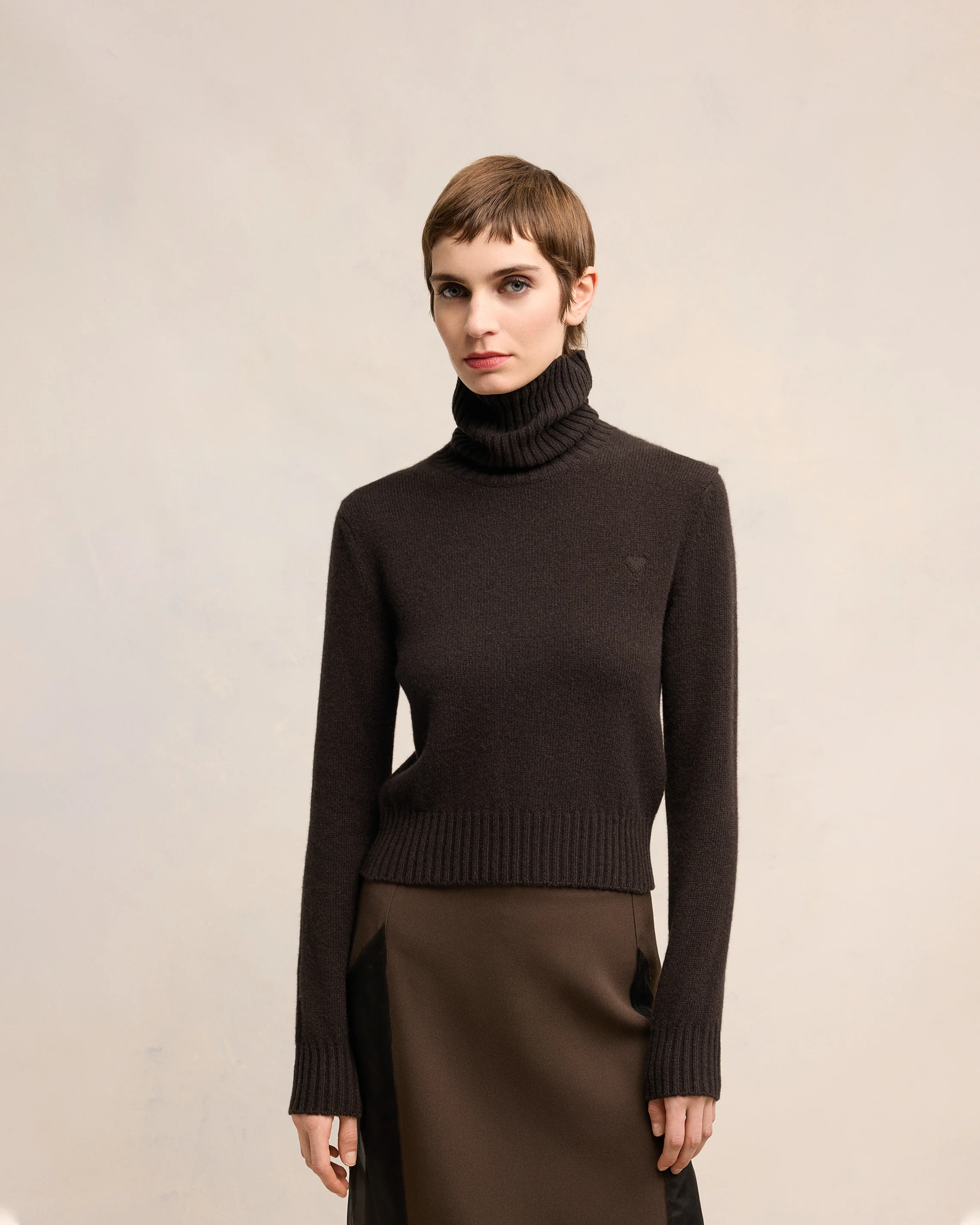 Cashmere Ami de Coeur Turtle Neck Sweater