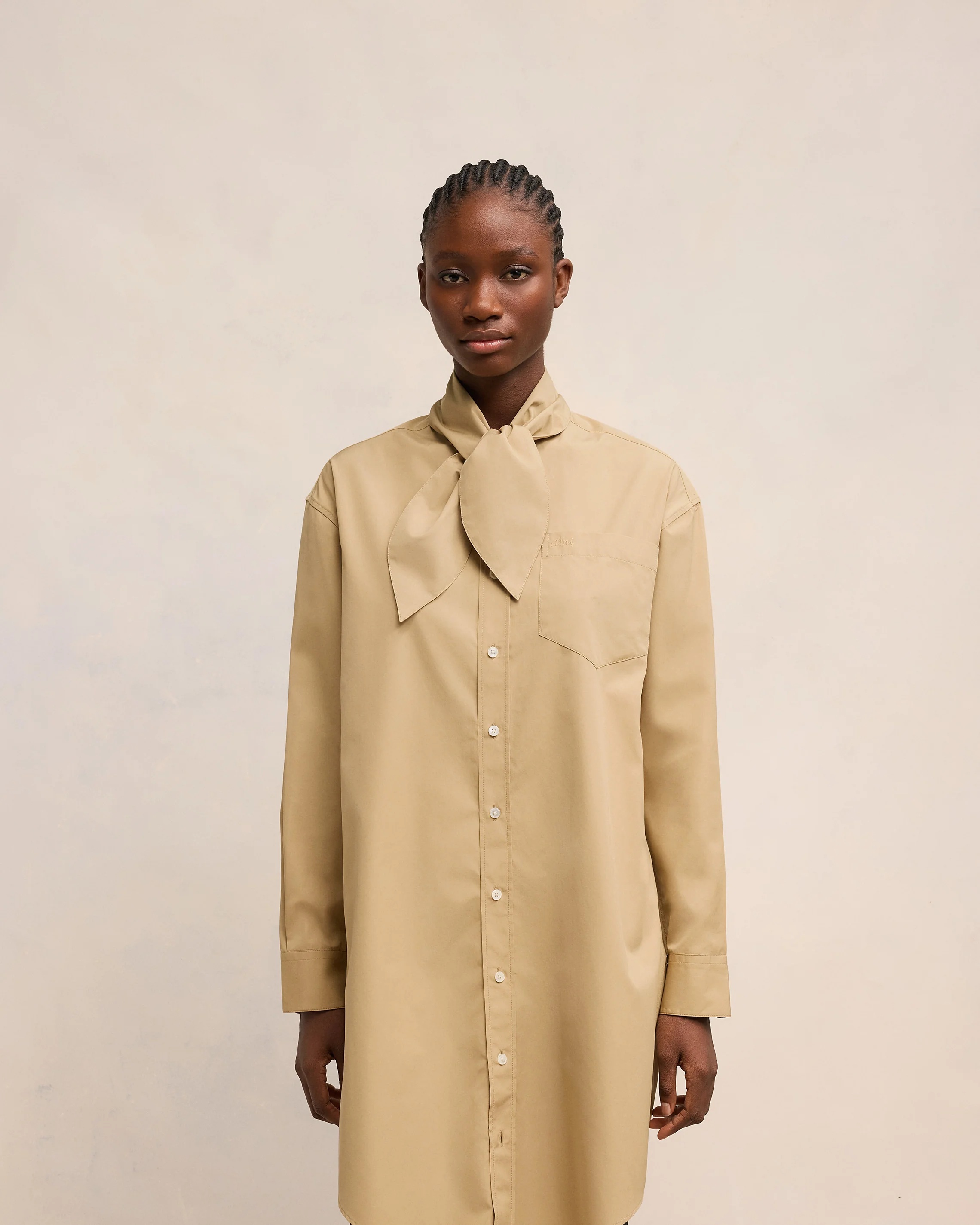 Scarf Collar Shirt Dress