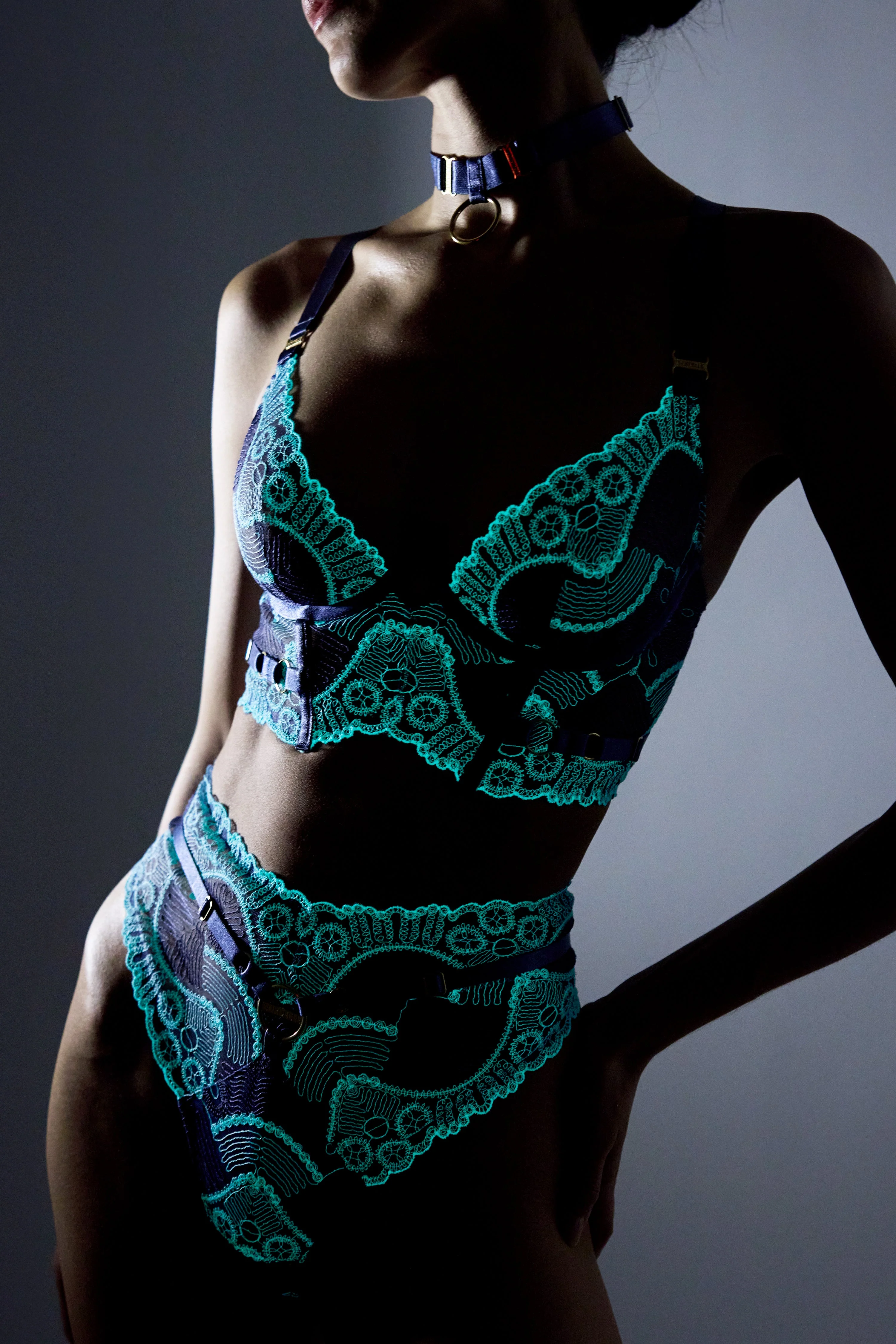 Tierra Longline Bodice Bra