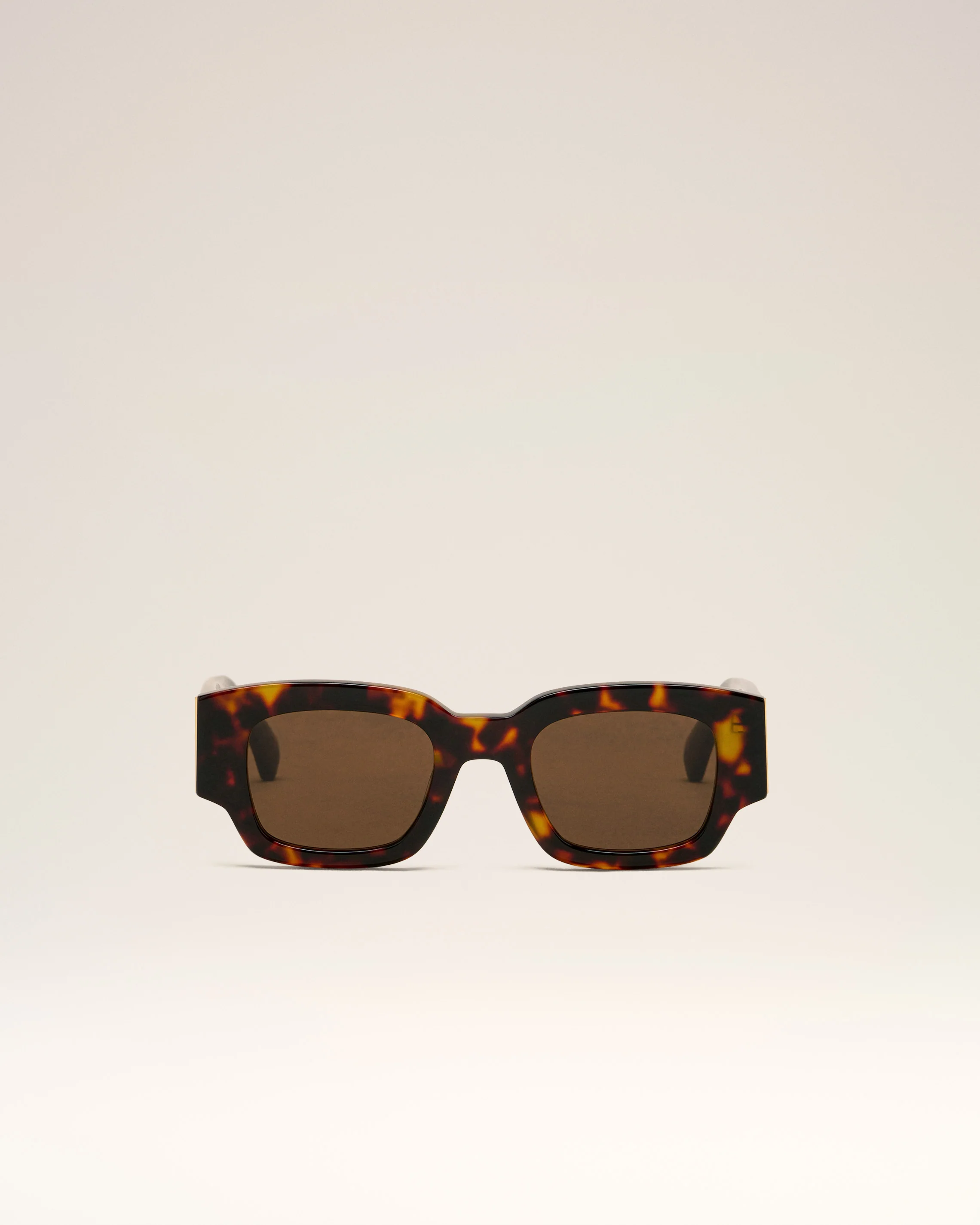 Brown 75001 Sunglasses