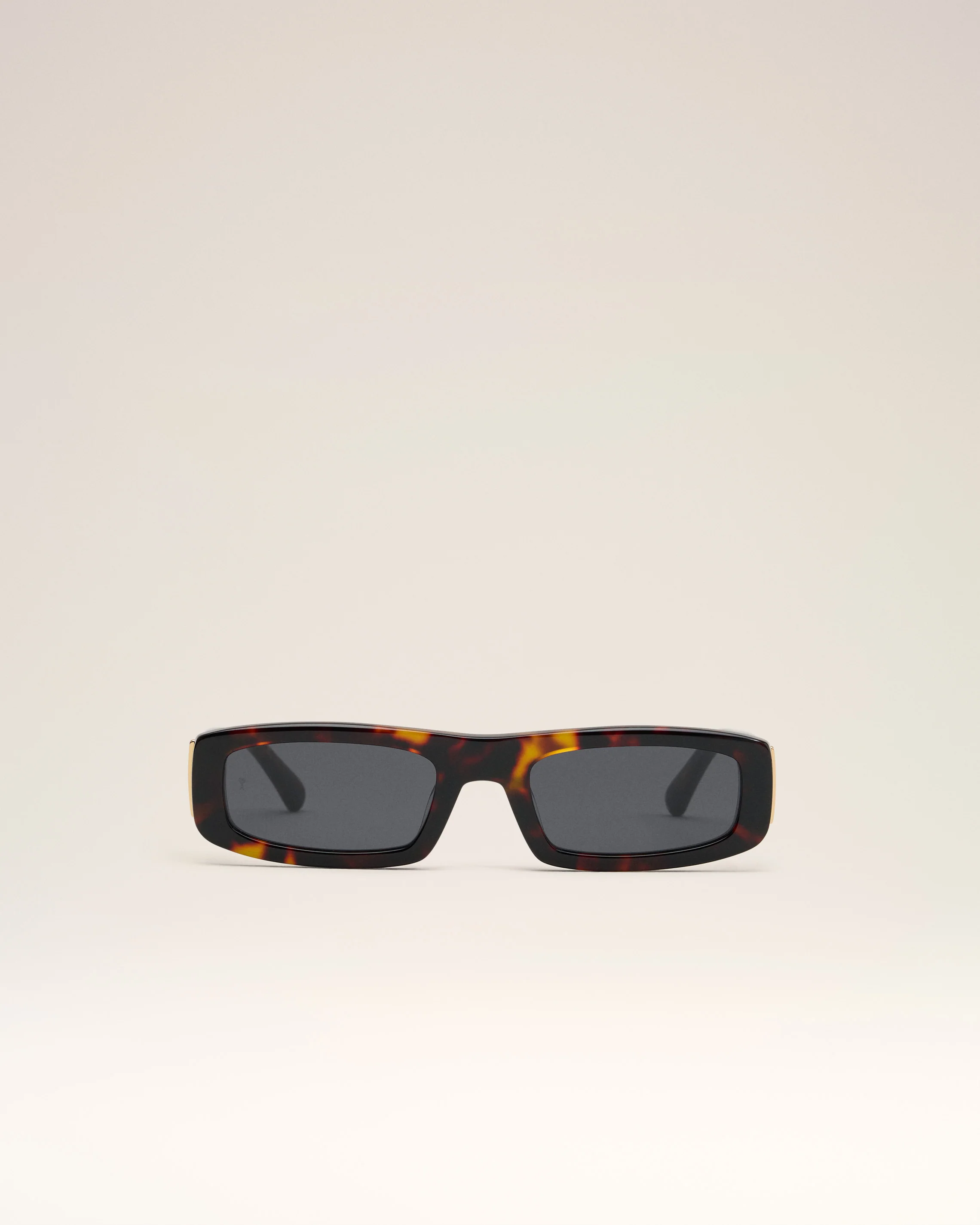 Brown 75010 Sunglasses