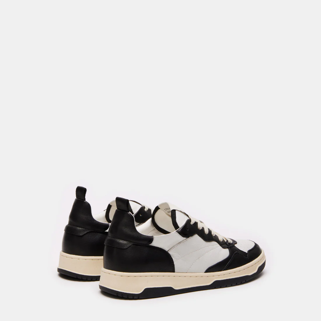 EVERMORE BLACK MULTI