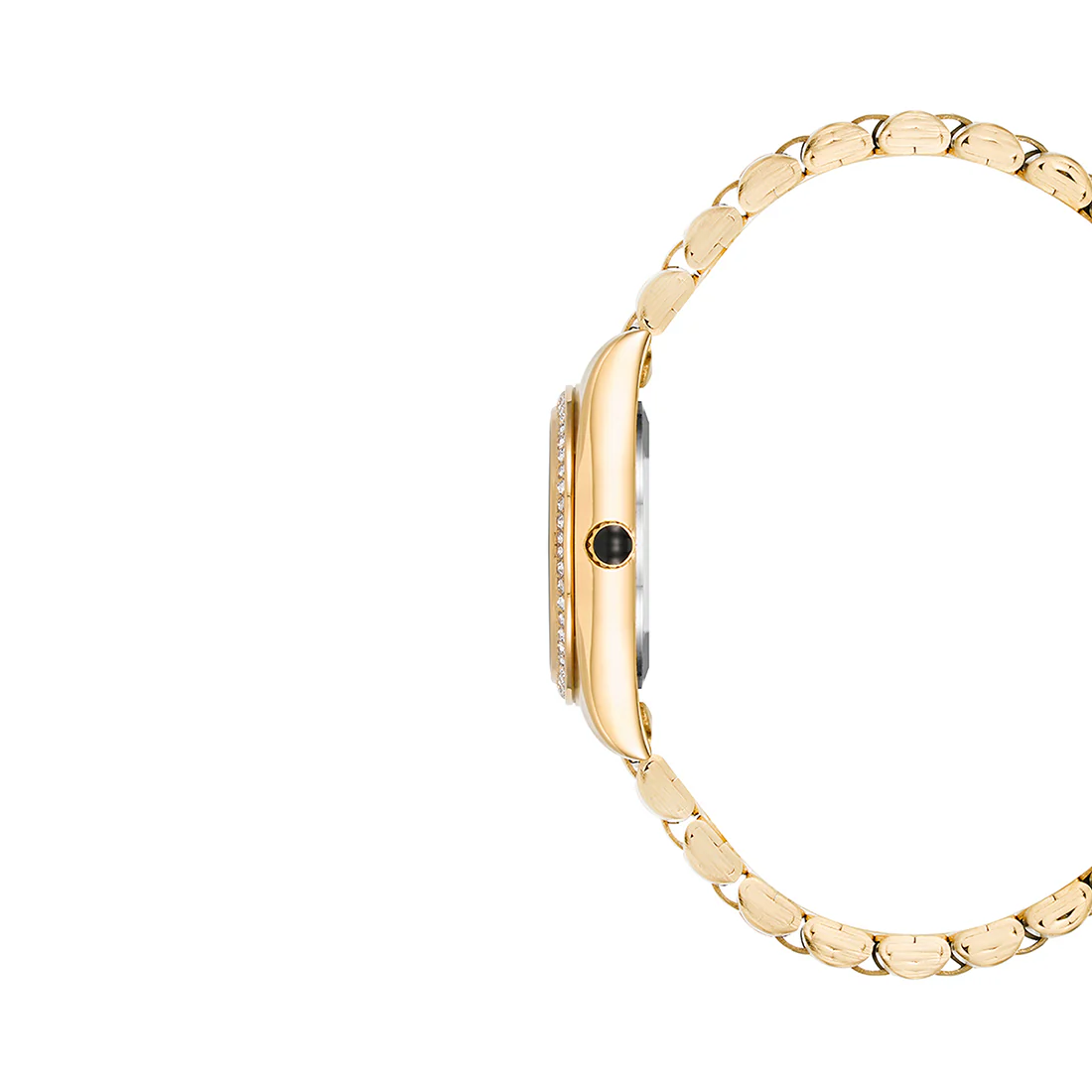STATEMENT WATCH GOLD MULTI