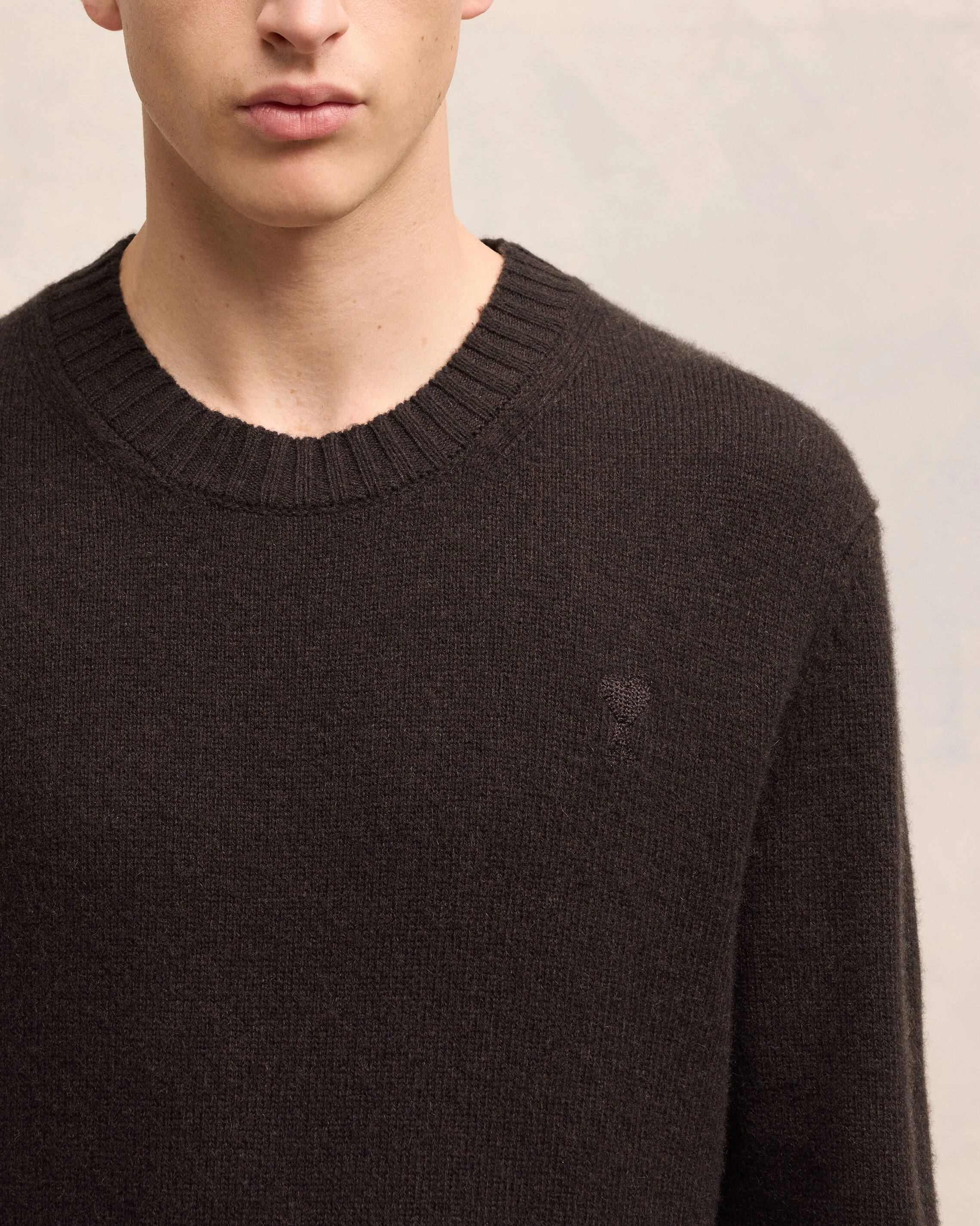 Cashmere Ami de Coeur Crew Neck Sweater