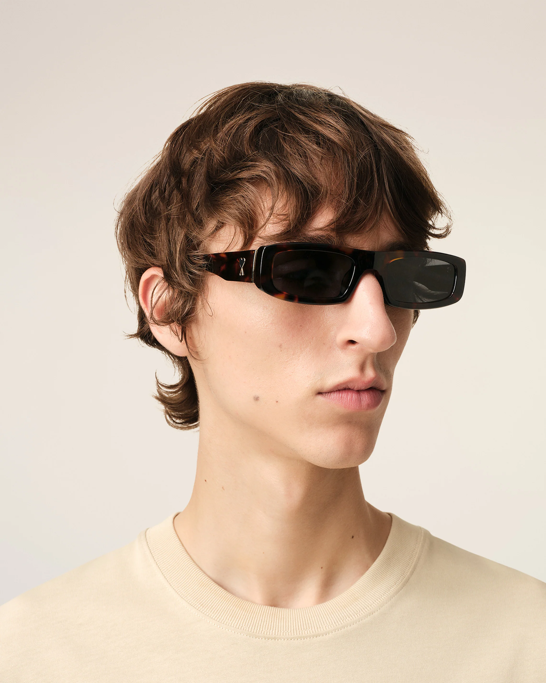 Brown 75010 Sunglasses