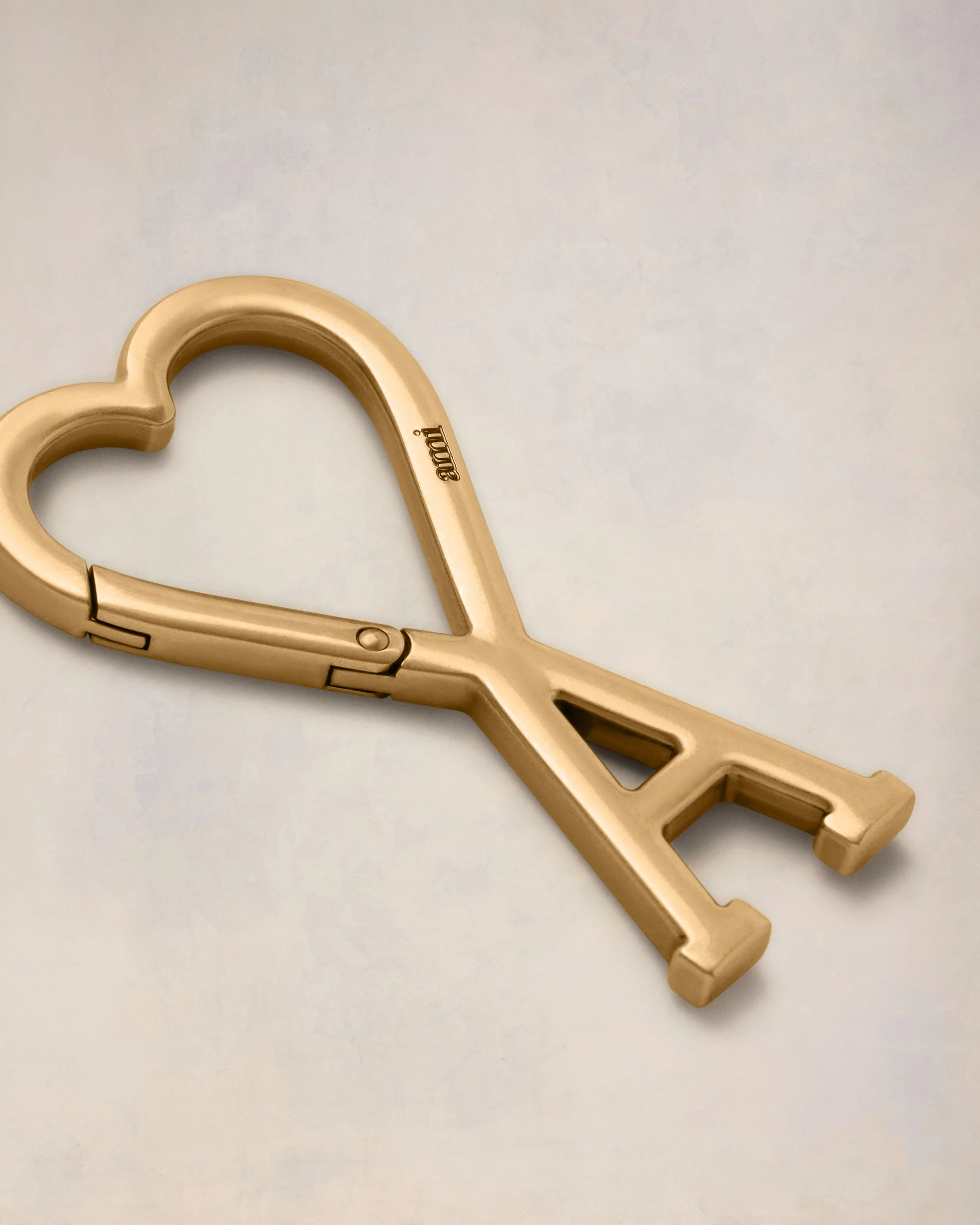 Gold Ami de Coeur Hook Keyring