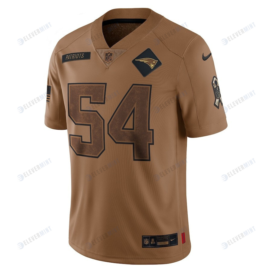 Tedy Bruschi 54 New England Patriots 2023 Salute To Service Limited Jersey - Brown