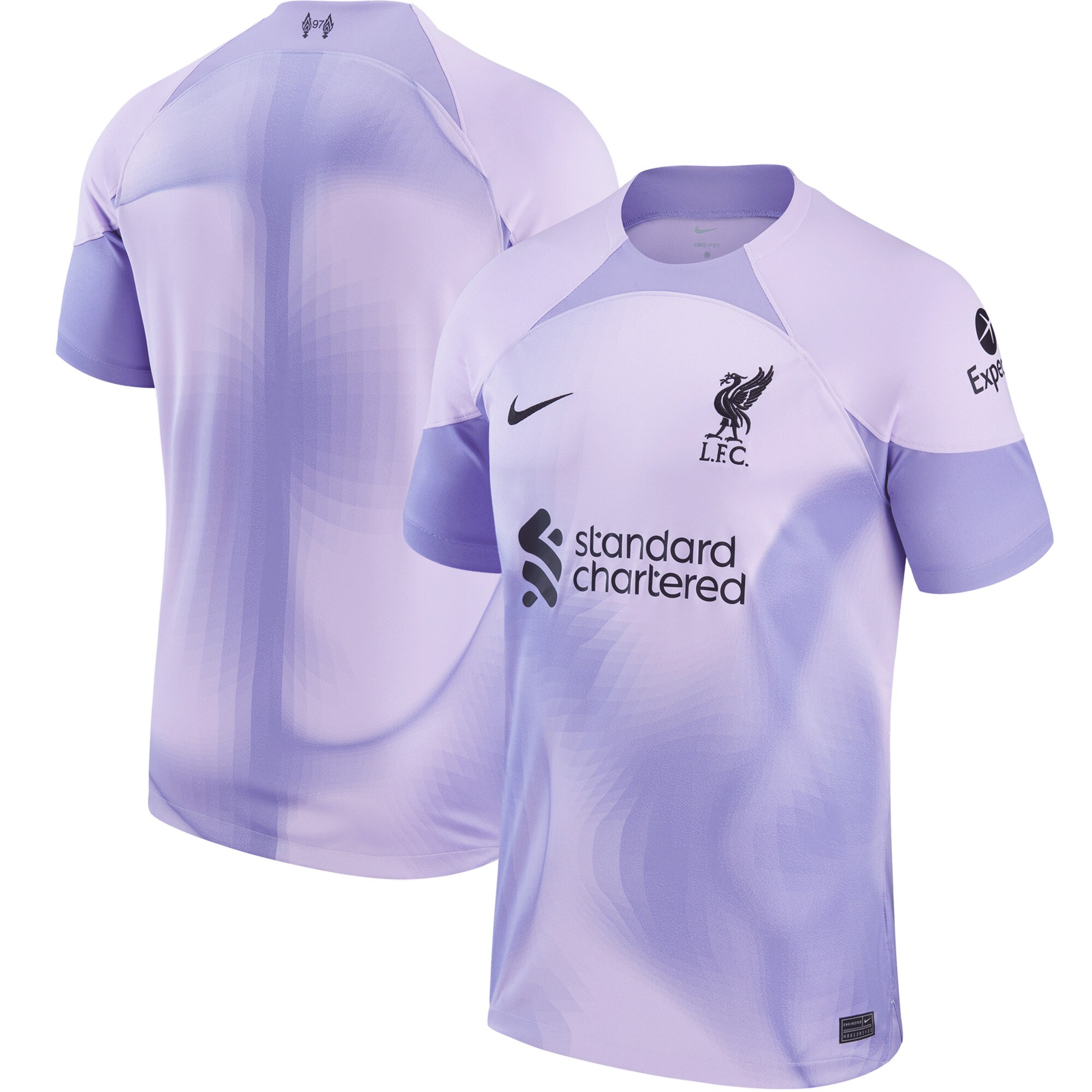 Liverpool Nike Youth 2022/23 Home Goalkeeper Jersey - Purple