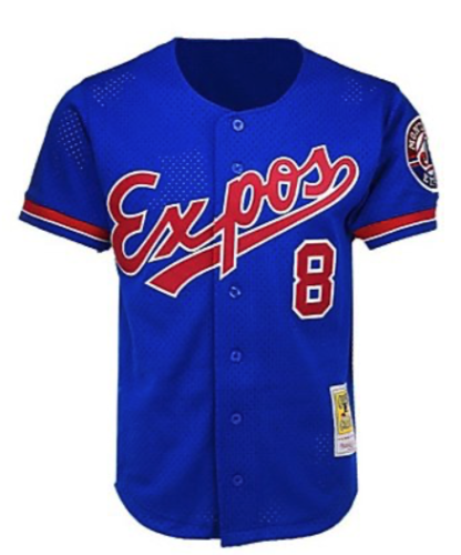 Men's Montreal Expos Gary Carter Mitchell & Ness Royal 1992 Authentic Cooperstown Collection Mesh Batting Practice Jersey