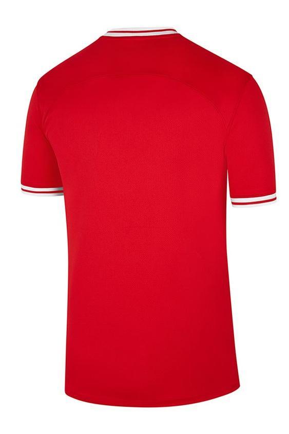 Poland Away Jersey 2022 World Cup Kit