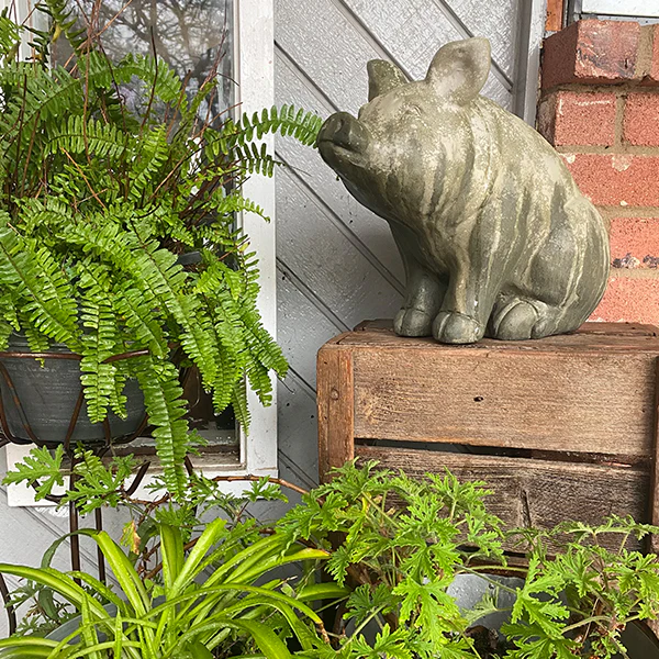 BIG Wilbur Sitting Pig Accent