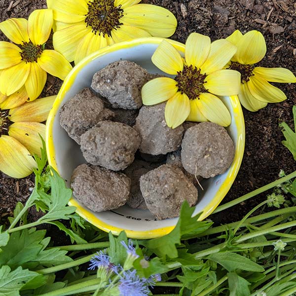 Wildflower Seed Balls in Kraft Pot | Made in USA
