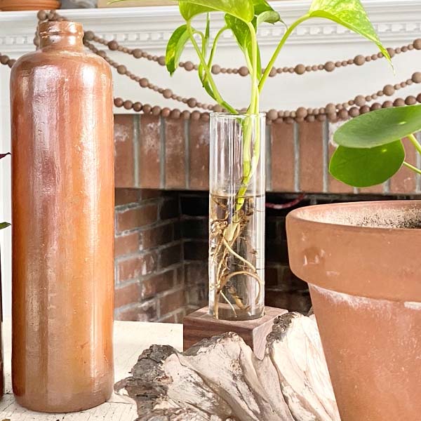 Antique Dutch Stoneware Gin Bottle, Pick Your Size