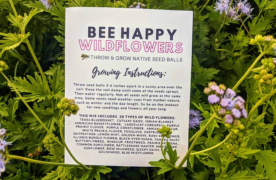 Wildflower Seed Ball Gift Bags, Set of 3 | Made in USA