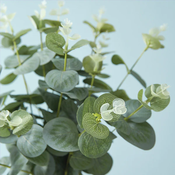 Faux Eucalyptus Plant, Set of 2