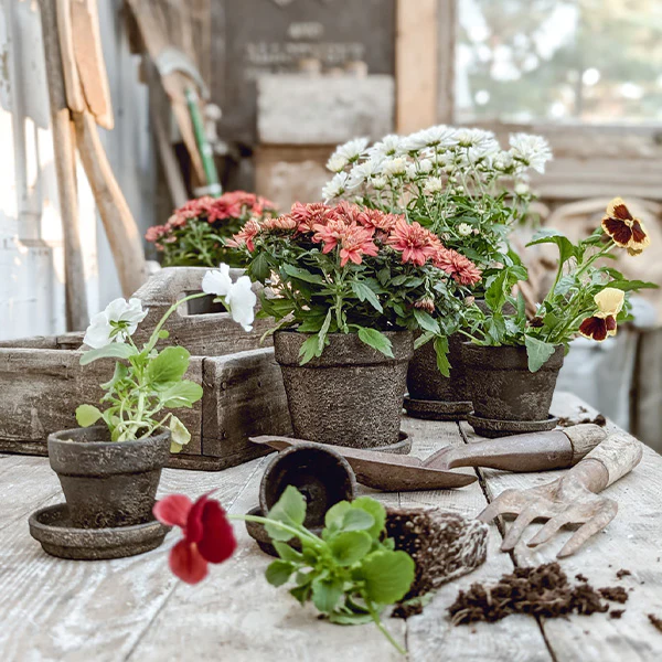 Dark Gray Terracotta Indoor/Outdoor Planters, Set of 5