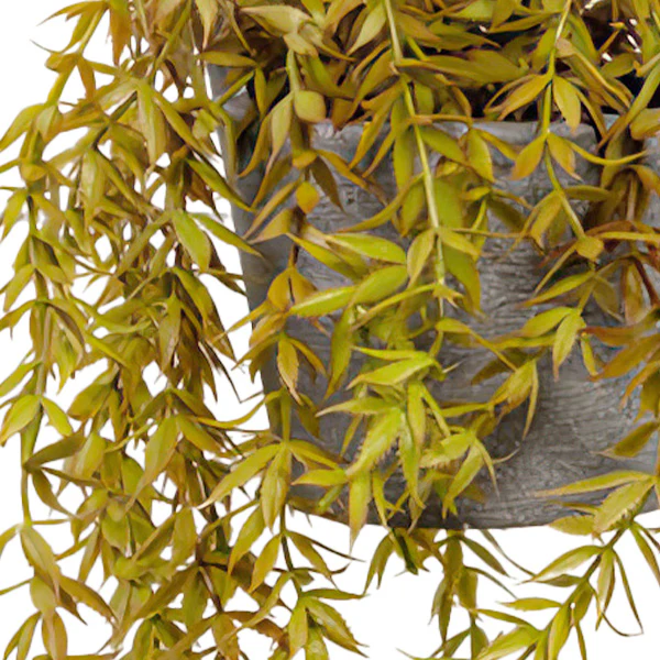 Weeping Faux Plant with Hanging Concrete Pot