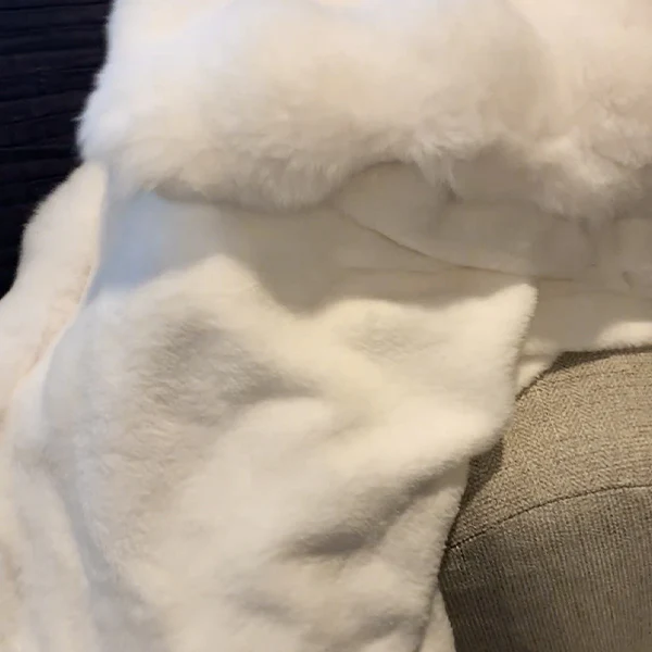 Extra Soft Faux Fur Blanket