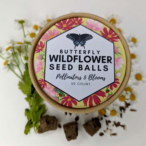 Wildflower Seed Balls in Kraft Pot | Made in USA