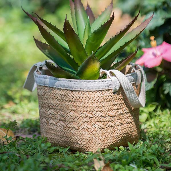 Cement Basket Planters, Set of 2
